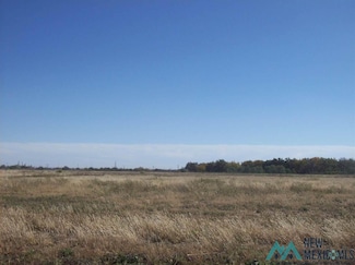 1010 Pistachio Trail, Artesia, NM 88210