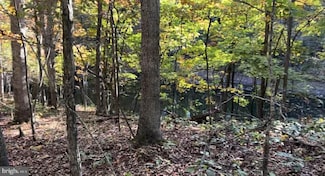 0 N Frederick Pike Unit VAFV2038096, Winchester, VA 22603