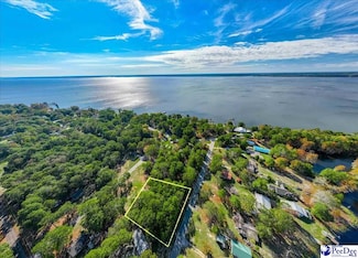 100 Triangle Dr, Summerton, SC 29148