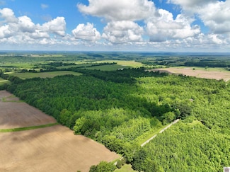 826 Airline Rd Unit (Livingston Co. KY 8, Salem, KY 42078