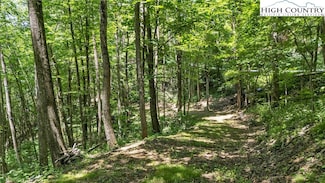 TBD Longhope Rd, Todd, NC 28684