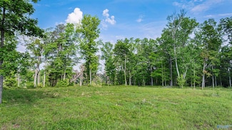 12 ACRES County Road 665, Pisgah, AL 35765