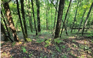 154-5 Dogwood Cir, Hayesville, NC 28904