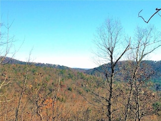 8104 Wilderness Pkwy, Jasper, GA 30143