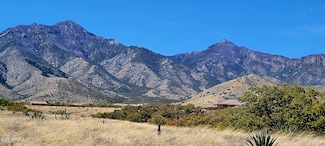 Lot 46 S Hackney Place Unit 46, Hereford, AZ 85615