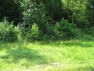 Lot #3 Short White Oak Rd, Flatwoods, KY 41139