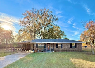 296 County Road 250, Headland, AL 36345