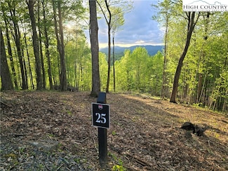 Lot 25 Deer Trail Ln, Elk Park, NC 28622