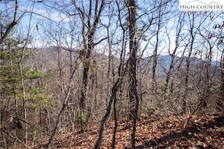 Lot# 502 Timber Rock Dr, Lenoir, NC 28645