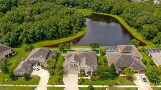 27816 Cobalt Ln, Wesley Chapel, FL 33544