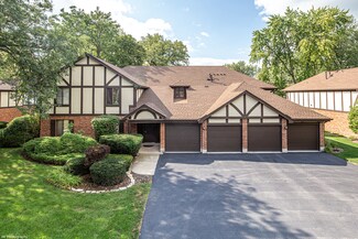 8239 Holly Ct Unit 24C, Palos Hills, IL 60465