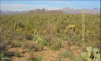 5ac N Gunsight Ln, Florence, AZ 85132