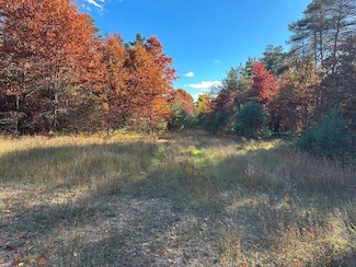 58 Acres E Cranberry Lake Rd, Harrison, MI 48625