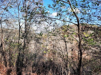 000 Hwy 9 S, Mountain View, AR 72560