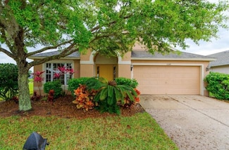 5247 Lookout Pass, Wesley Chapel, FL 33544