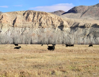 24950 Hwy 93, Challis, ID 83226