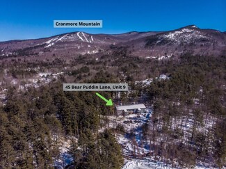 45 Bear Puddin Ln Unit 9, Conway, NH 03860