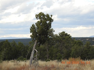 129 Tierra de Dios, Rowe, NM 87562