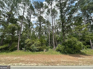 0 Sardis Church Rd, Moultrie, GA 31788