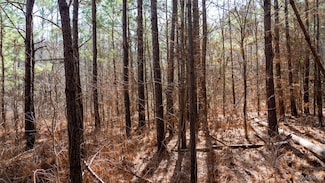 185 Dam Rd, Wilsonville, AL 35186