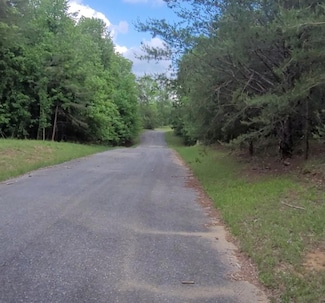 0 Palamino Way Unit 236536, Spencer, TN 38585