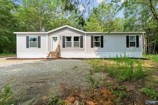 2736 Horton-Nixon Chapel Rd, Horton, AL 35980