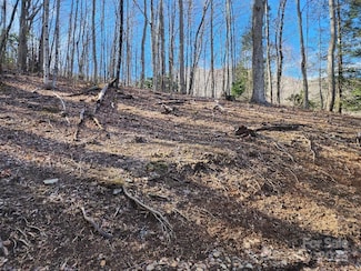 00 Shadow Moss Dr Unit 8/B, Burnsville, NC 28714