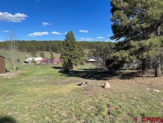 18 Balfour Ct, Pagosa Springs, CO 81147
