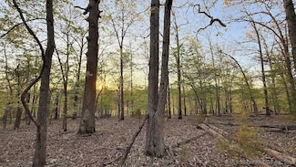 2345 Overlook Dr, Kansas, OK 74347