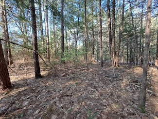 19 Beacon Hill Rd, Thornton, NH 03285