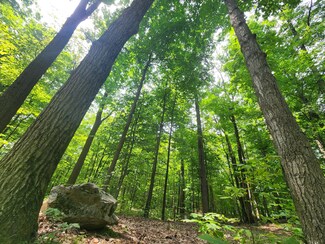 0 Rogers & M72 Rd, Fairview, MI 48621