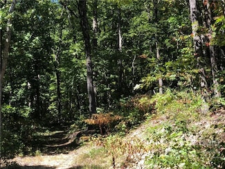 Lot #73 Marshall Ridge Rd, Edneyville, NC 28792