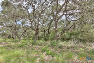 Tract 11 Prairie St, Edna, TX 77957