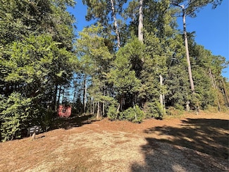 00 L C Herschap Ln, Big Thicket Lake Estates, TX 77351