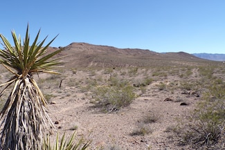 N White Dr, Dolan Springs, AZ 86441