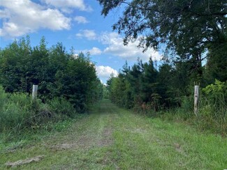 0 Old Taylor Rd, Kingstree, SC 29556