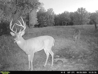 0 LIV 403, Mooresville, MO 64664