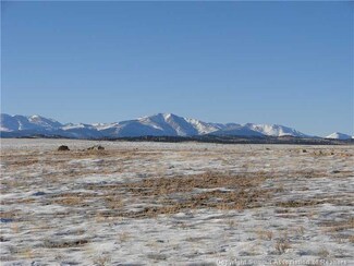 1518 Yellowstone Rd, Hartsel, CO 80449