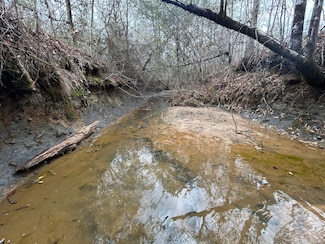 0 Spring Hill Rd, Brantley, AL 36009