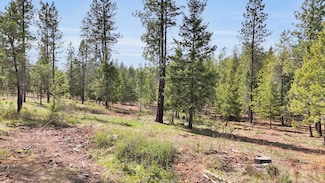 69XX Elk Bluff Ln, Elk, WA 99009