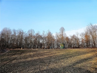 00 Blackleggs Rd, Young Township, PA 15681
