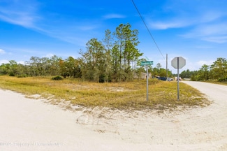 0 Tinamou Ave Unit 2256605, Weeki Wachee, FL 34614