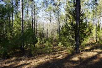 6 + - Ac Sky Line Dr, Chester, SC 29706