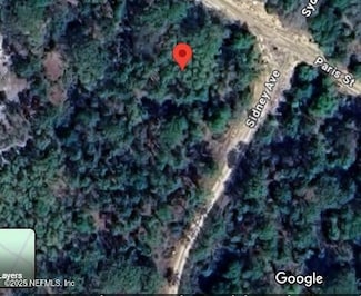 187 Paris St, Interlachen, FL 32148