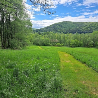 0 Maier Ln Unit LotWP001 20459919, Wellsboro, PA 16901