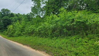 12 Tom Patterson Trail, Dandridge, TN 37725