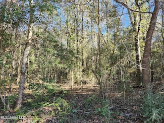 Nhn Hoda Rd, Kiln, MS 39556