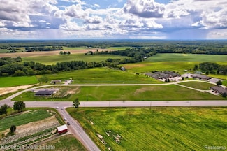 Parcel B W Rolling Hills Dr, Bridgeport Township, MI 48722