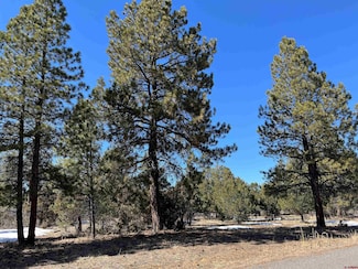 TBD Badger Trail S, Ridgway, CO 81432