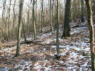 1425 Mcknights Gap Rd, Reading, PA 19604